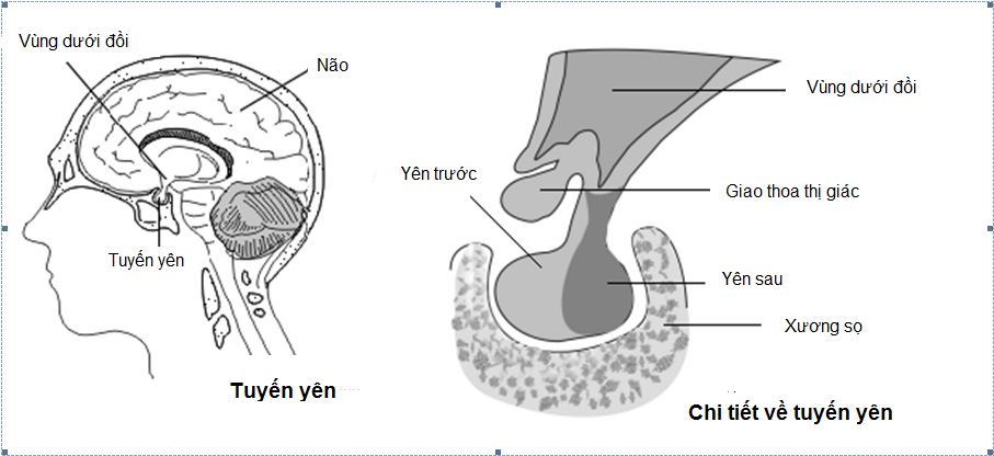 xuat-tinh-som